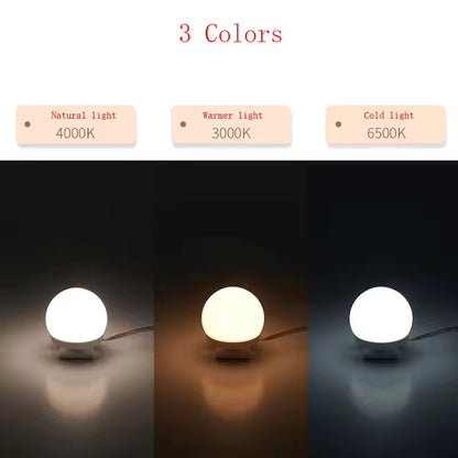 Illuminate Your Beauty: 3-Color 10 LED Bulbs Adjustabel LED Vanity Mirror Lights with USB Power